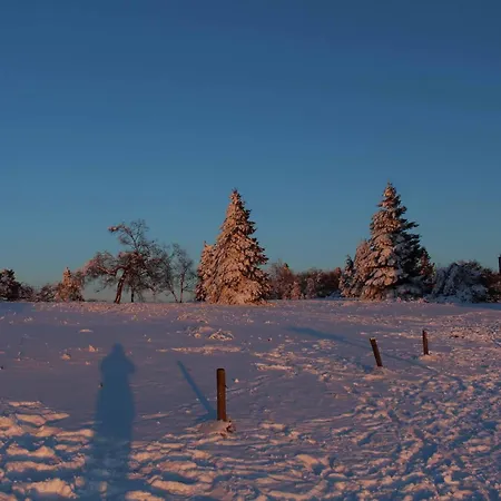 Haus Nadja Appartamento Winterberg