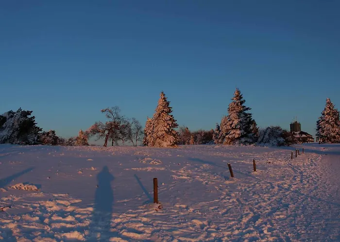 Haus Nadja Appartamento Winterberg